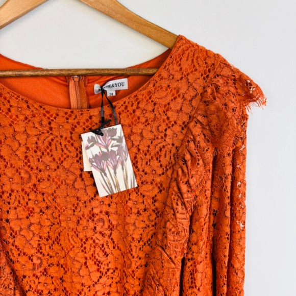 Alice & You Allover Lace Skater Dress NWT Size 24 - Picture 4 of 5